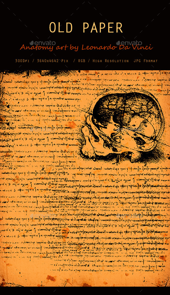 Old Anatomy Art Texture 0111 - Art Textures