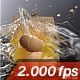 Egg Gets Destroyed By A Mousetrap - VideoHive Item for Sale