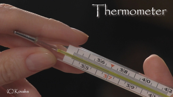 Hand With Thermometer