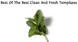 Best Of The Best Clean And Fresh Templates