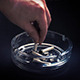 Heavy Smoker Ashtray Concept - VideoHive Item for Sale