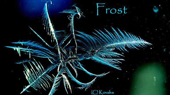 Frost alt