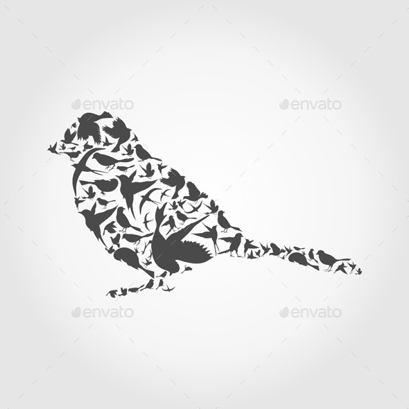 Birds - Animals Characters