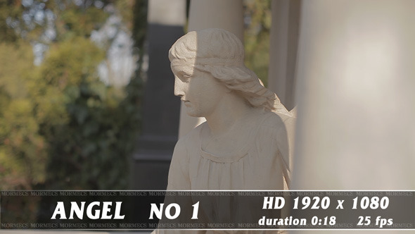 Angel No.1