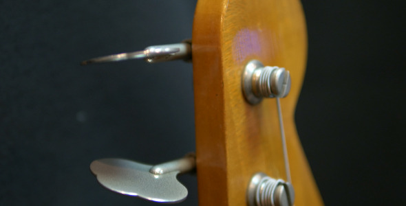 Bass Guitar Head alt