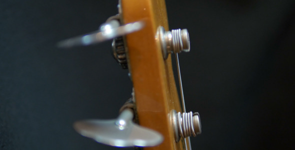 Bass Guitar Head 2 alt