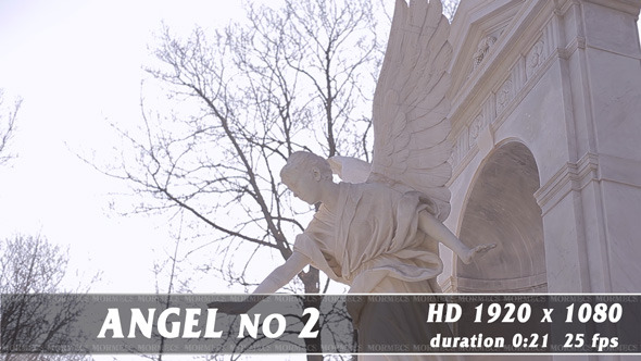 Angel No.2