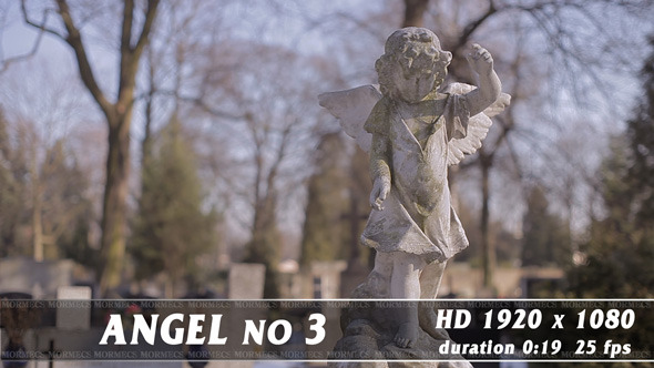 Angel No.3