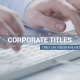 Corporate Titles and Lower Thirds - VideoHive Item for Sale