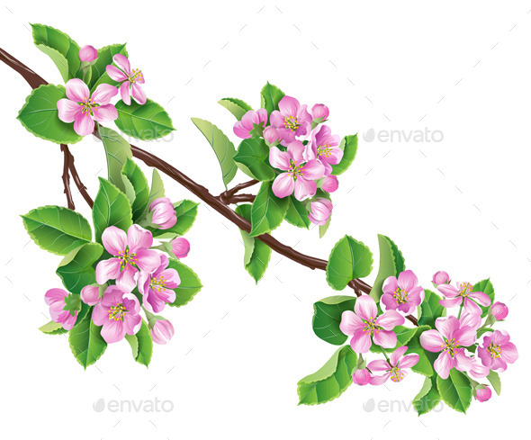 Blooming Branch - Flowers & Plants Nature