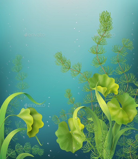 Underwater Background - Flowers & Plants Nature