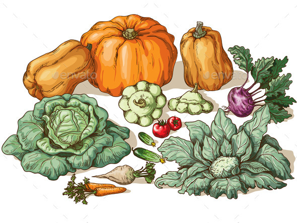 Various Vegetables - Food Objects