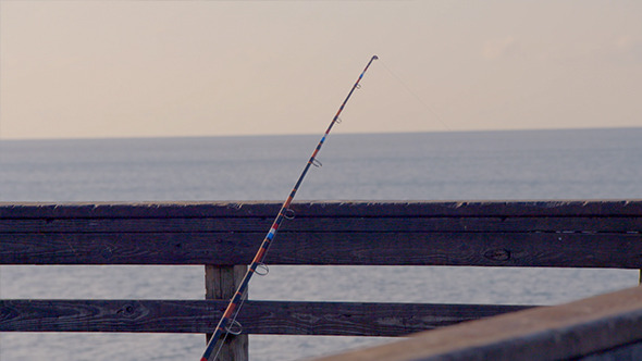 Fishing Pole