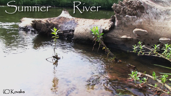 Summer River 