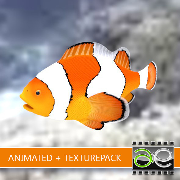 Animated Clownfish - 3DOcean Item for Sale