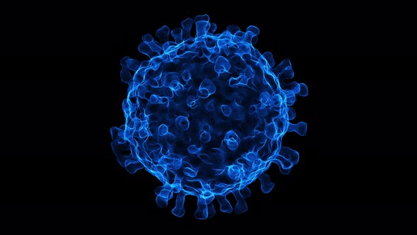 Coronavirus 2019-nCoV in Electrone Microscope
