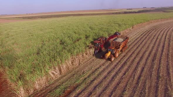 Sugar cane hasvest plantation with three machines view aerial alt