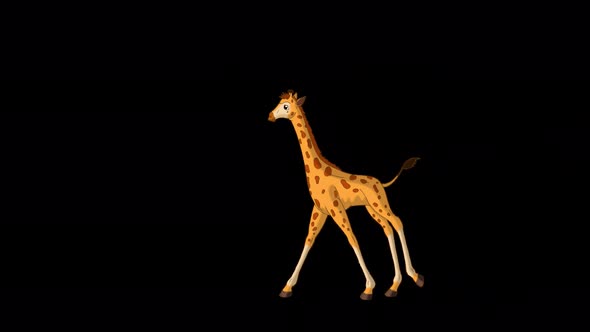 Little baby giraffe runs back and forth alpha matte full shot 4K