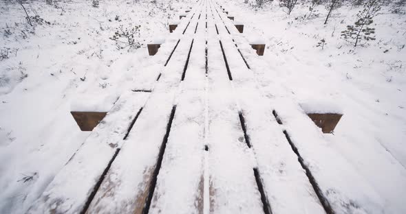 4K - Winter walking trail through the forest. Wide view alt