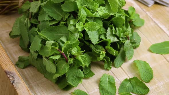 Single bunch of fresh picked spearmint with single leaves in front  alt