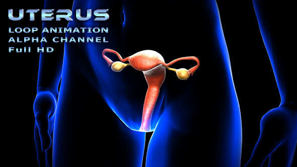 Uterus alt