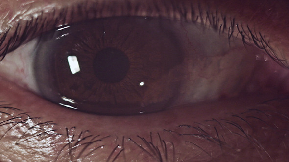 Man's Eye
