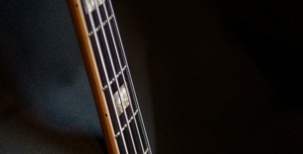 Bass Guitar Neck alt