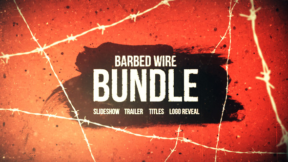 Barbed Wire Bundle