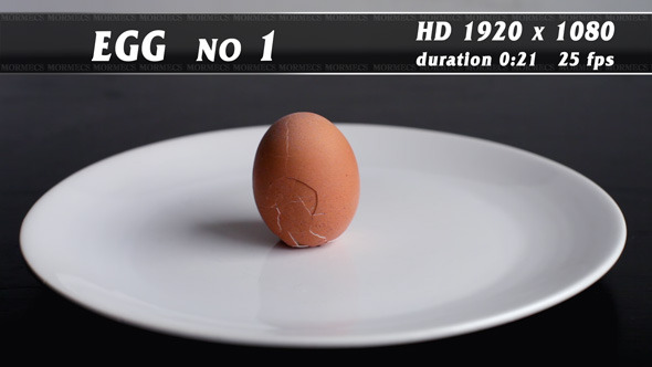 Egg No.1