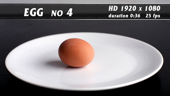Egg No.4