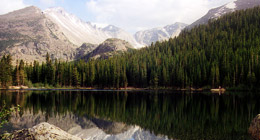 Web Site Fodder - HTML/WordPress