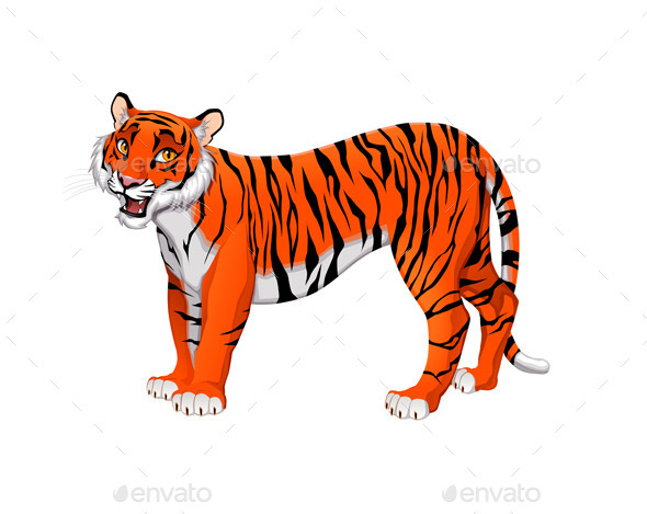 Tiger - Animals Characters