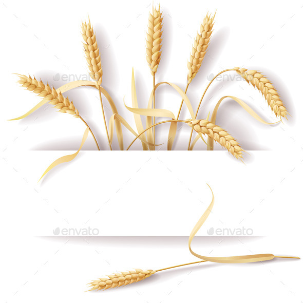 Wheat Ears - Flowers & Plants Nature