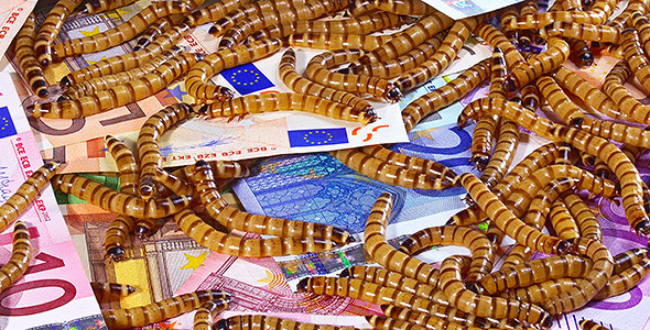Ugly Worms Crawling over Euro Banknotes 