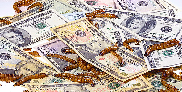 Money and Worms (Economic Concept)