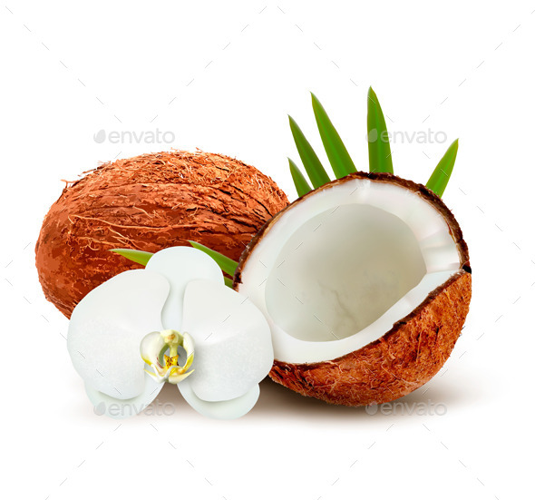 Coconut with Leaves and White Flower - Food Objects