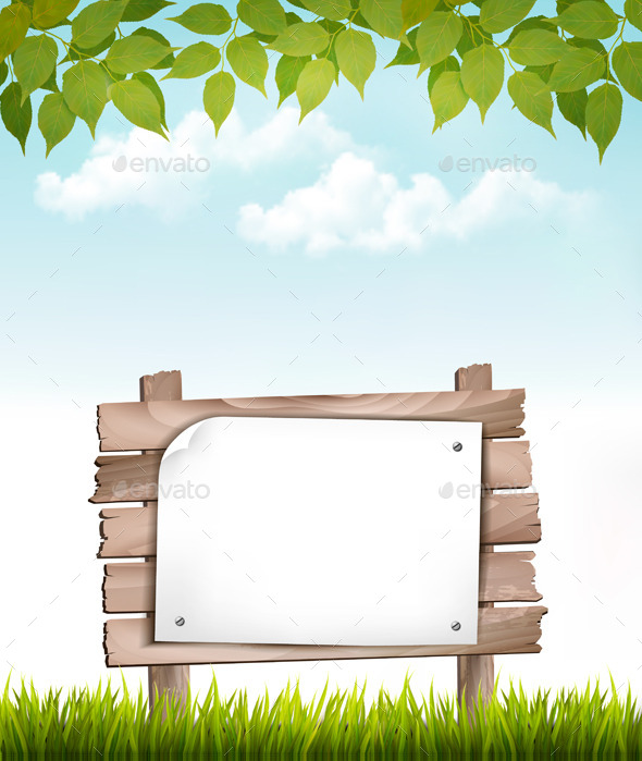 Natural Background with Wooden Board - Borders Decorative
