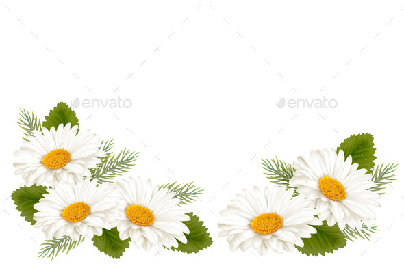 Flower Background - Flowers & Plants Nature