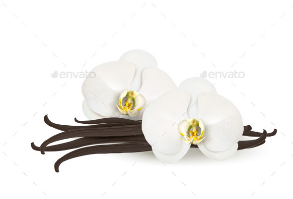 Vanilla Background - Flowers & Plants Nature