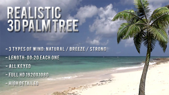 Realistic 3D Animated Palm Tree Pack