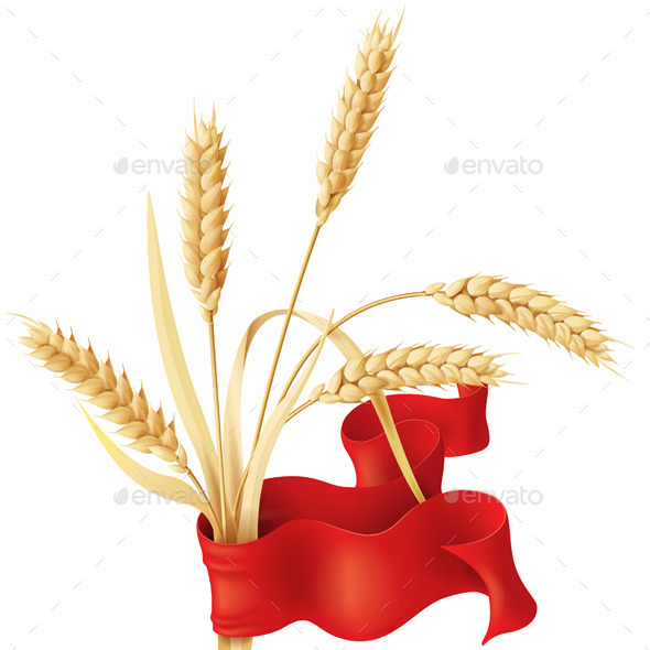 Wheat Ears with Ribbon - Organic Objects Objects