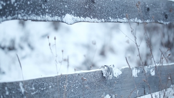 Girl Behind Fence alt