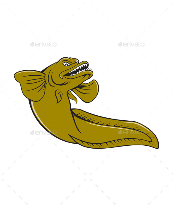 Eelpout Fish Cartoon - Animals Characters