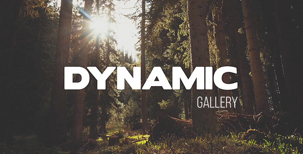 Dynamic Gallery - VideoHive 10470167