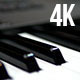 Piano Keys - VideoHive Item for Sale