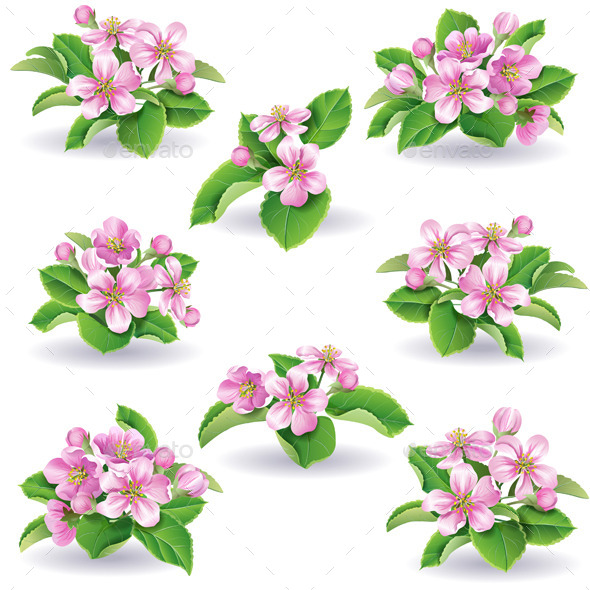 Floral Set - Flowers & Plants Nature