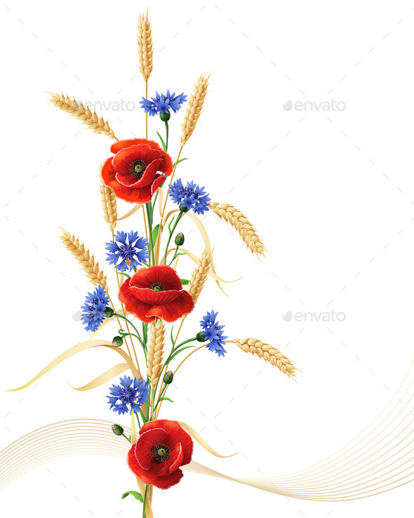 Cornflowers with Poppy Flowers and Wheat - Flowers & Plants Nature