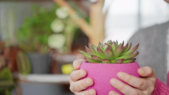 Person Holding Potted Plant