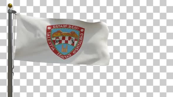 Chihuahua Flag on Flagpole with Alpha Channel alt