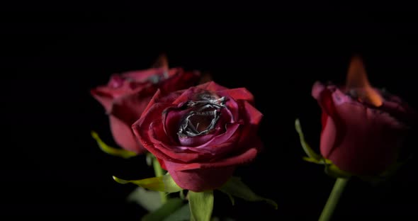 Love fire in the bouquet. alt